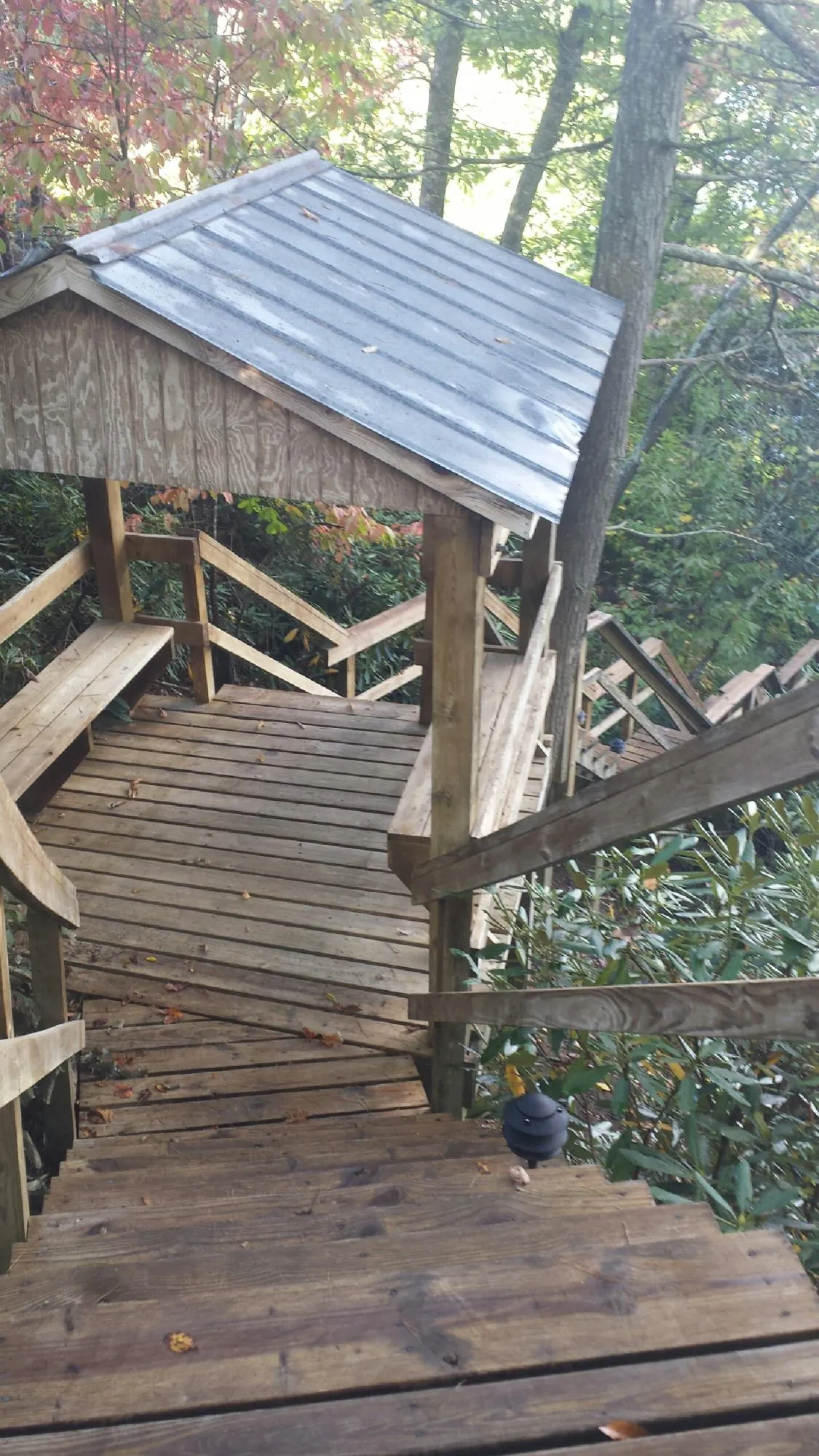 Metal roofed shelter over wooden steps on a wooded walkway in Knightdale